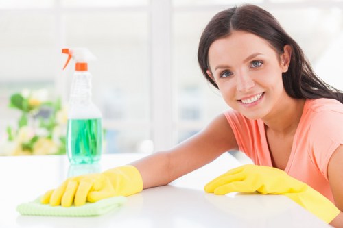 Domestic cleaning service for a W2 apartment in a local London residential block