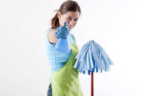 Cleaner in W2 for local flats and period homes