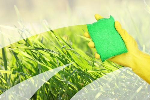 Professional carpet cleaning service for W2 homes and flats