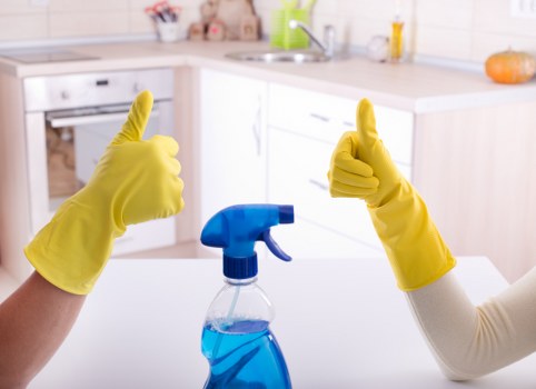 Professional hard floor cleaning for W2 homes and flats