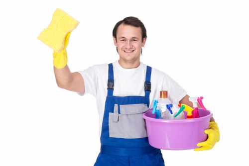 Domestic cleaning service for a flat in the W2 area
