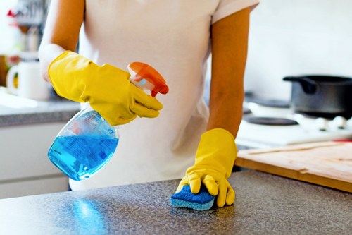Professional cleaner working in a W2 flat near Bayswater