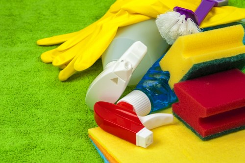 Domestic cleaner working in a W2 apartment block