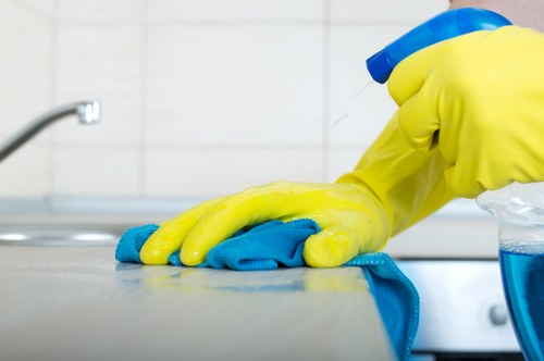 Support request section for accessibility needs on Carpetcleaning W2