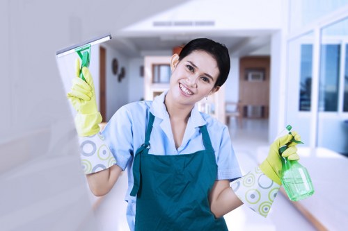 Local cleaner working in a Bayswater or Paddington flat with access considerations