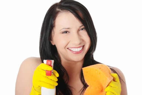 Local domestic cleaning service for kitchens and bathrooms in W2