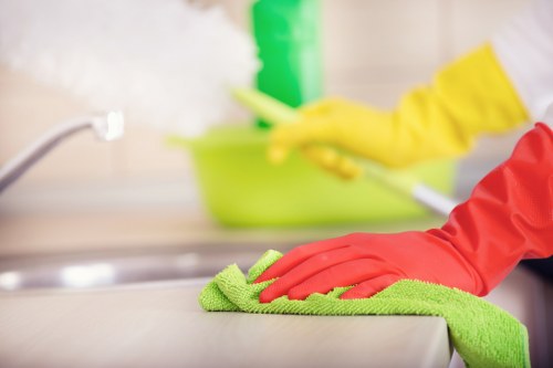 Professional domestic cleaning for homes and rentals in the W2 area